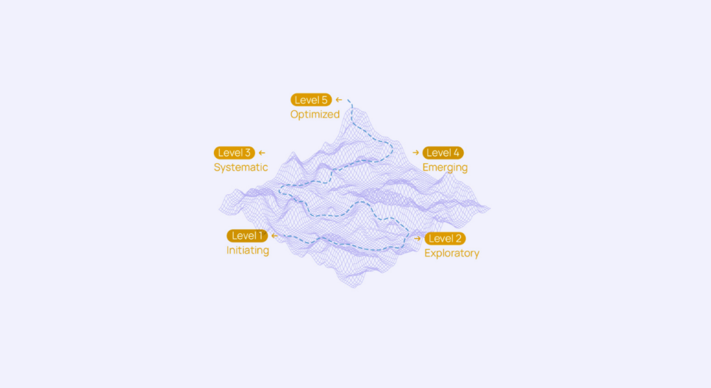 A Step-by-Step Guide to the EDA Maturity Model